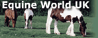 Equine World