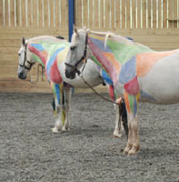 Two painted horses
